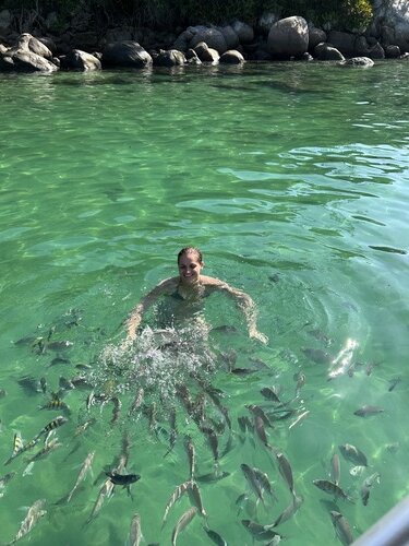 Peixinhos da lagoa verde